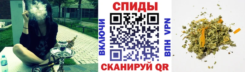 Бутират буратино  Красногорск 