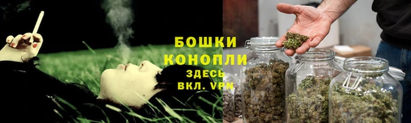 прущие крисы Дмитровск