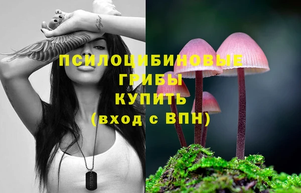 прущие крисы Дмитровск