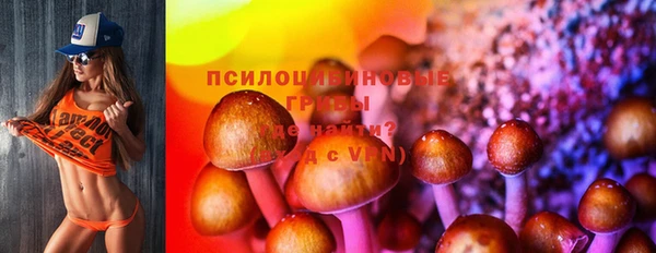 герыч Дмитриев